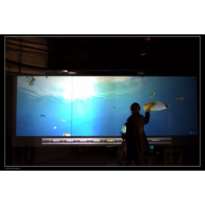 Fast Shipping 4.5 square meter 1.524m*3m Transparent rear projection screen film/foil for glass window display