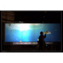45 square menters of one roll Self adhesive holographic transparent rear projection film with best price